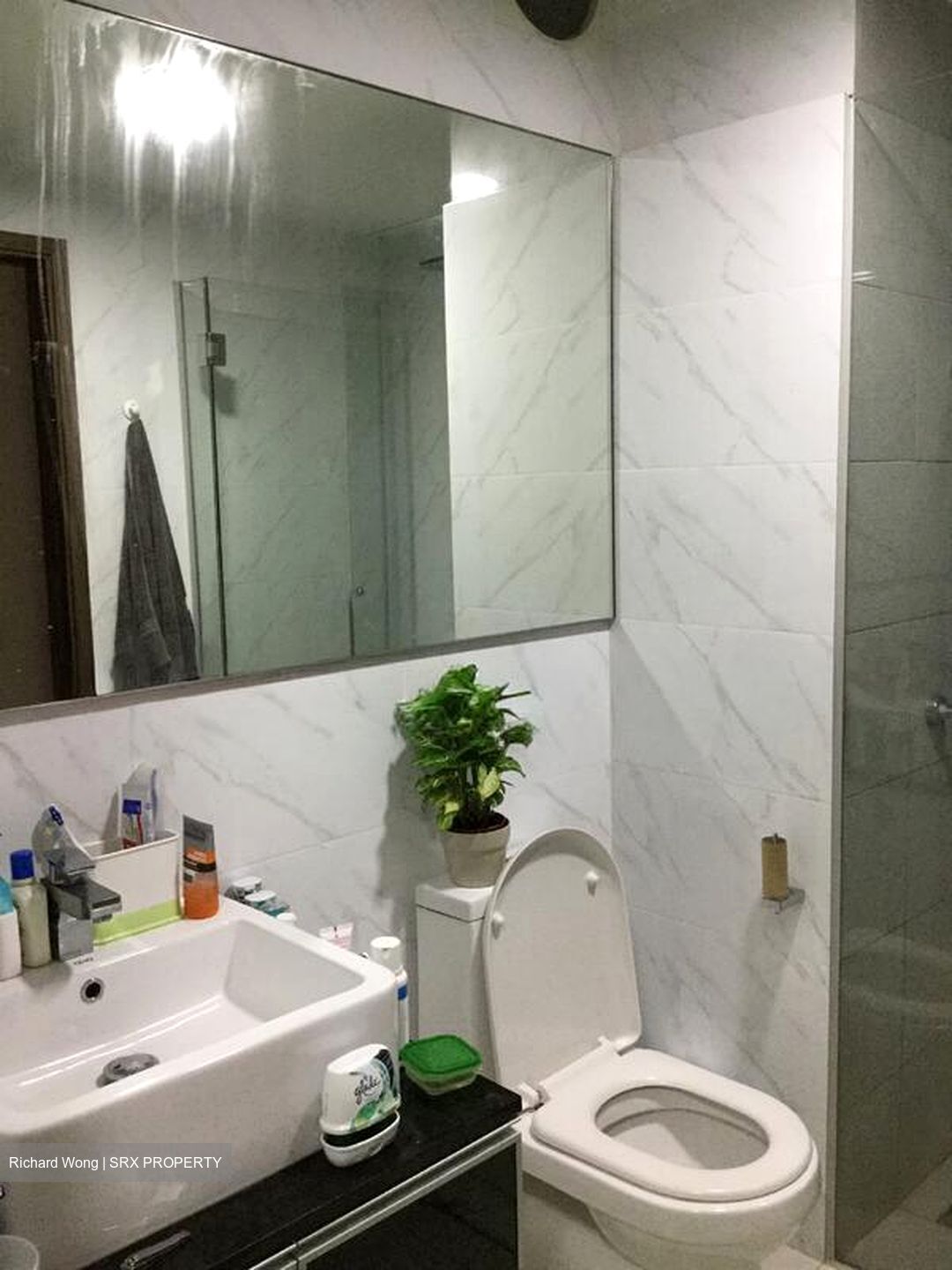 Loft @ Nathan (D10), Apartment #501797931